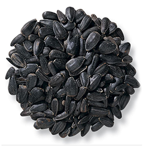 Black Sunflower Seed 8#