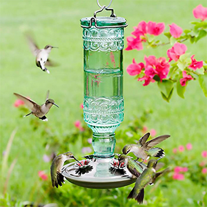 Feeder Hum Bird Antique Grn