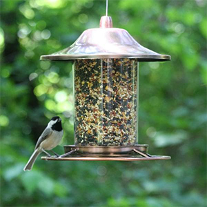 Bird Feeder Panorama Copper