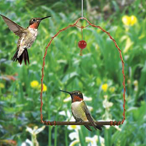 Bird Swing Copper Humming