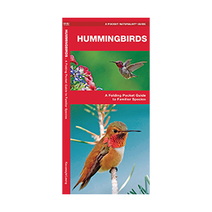 Guide Hummingbirds