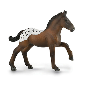 Corral Pal Sugarbush Draft Foal