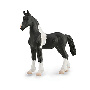 *corral Pal Barock Pinto Foal