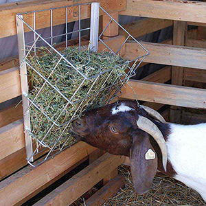 Feeder Hay Goat & Sheep Basket