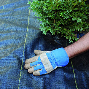 Fabric Landscape 50' 12yr Dw