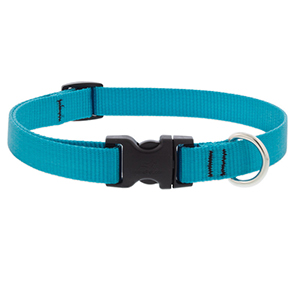 Collar Dog 15-25 3/4in Aqua