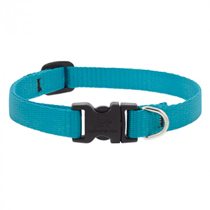 Collar Dog 12-20 1in Aqua