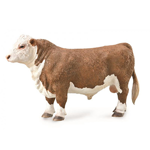 Corral Pal Hereford Bull Polled