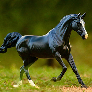 *breyer Kb Omega Fahim