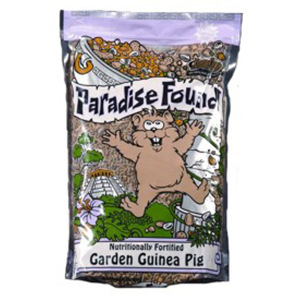 Paradise Guinea Pig 8#