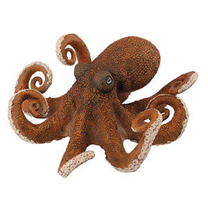 Corral Pal Octopus