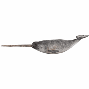*corral Pal Narwhal