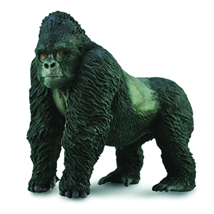 Corral Pal Mountain Gorilla