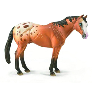 Corral Pal Appaloosa Stallion
