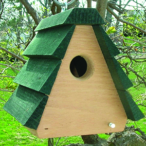 Bird House Wren A Frame