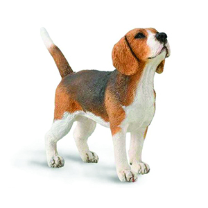 Corral Pal Beagle
