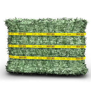 Hay Timothy Weed Free 55#