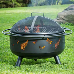 Fire Pit Dragonfly