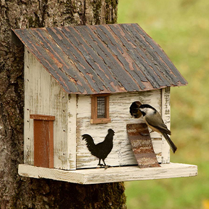 Bird House Chicken Coop