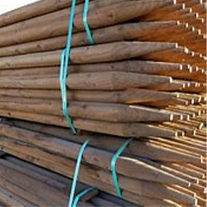 Stake Tree Wood 2in X 8 Ft