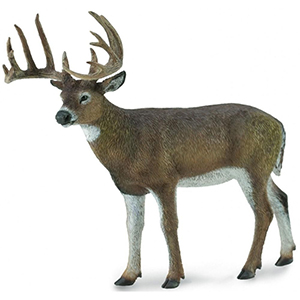 Corral Pal White Tail Deer