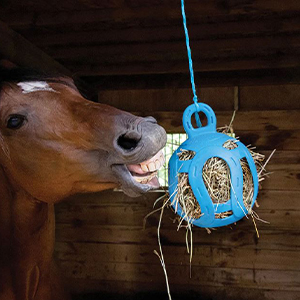 Jolly Hay Ball 8in Blue