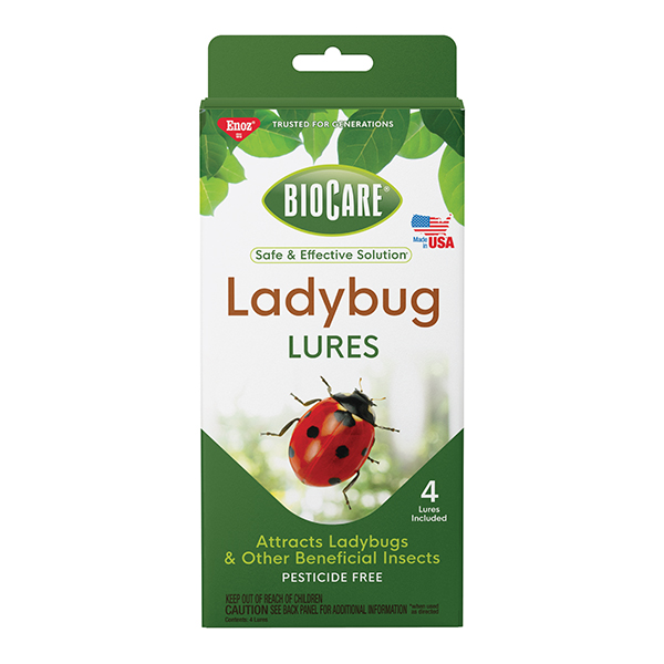 Ladybug Lures