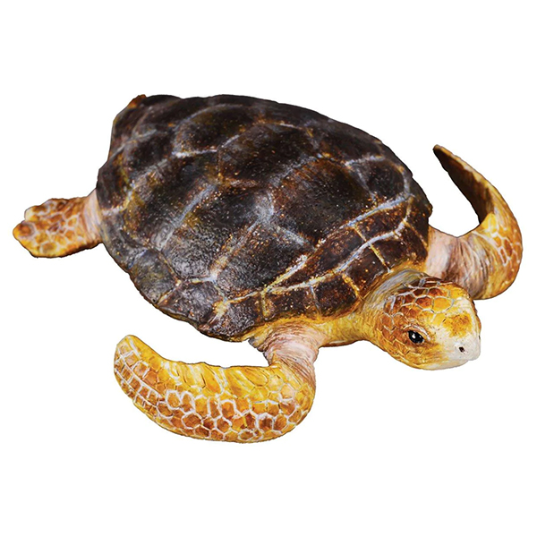 Corral Pal Loggerhead Turtle