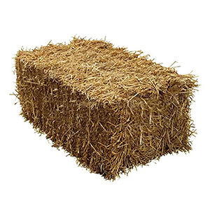 Hay Straw