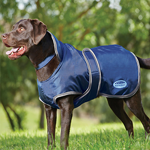 Dog Coat Wb Windbreaker 420d