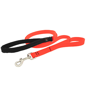*leash Dog 4ft 1/2in Blaze Orng