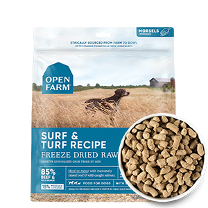 Dog Of Freeze Dried Surf