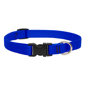 Collar Dog 15-25 3/4in Blue