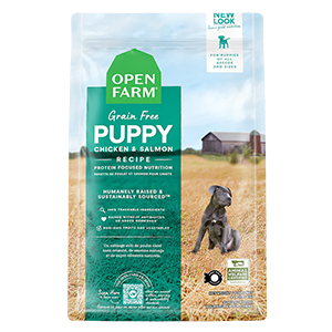 Dog Open Farm Puppy