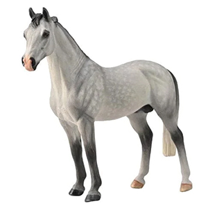 Corral Pal Hanoverian