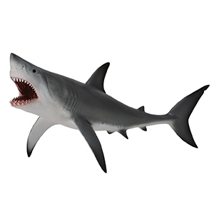 * Corral Pal Great White