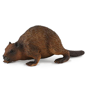 *corral Pal Beaver