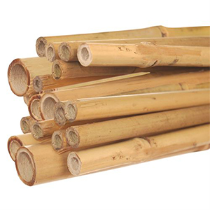 Stakes Bamboo 3ft 20pk