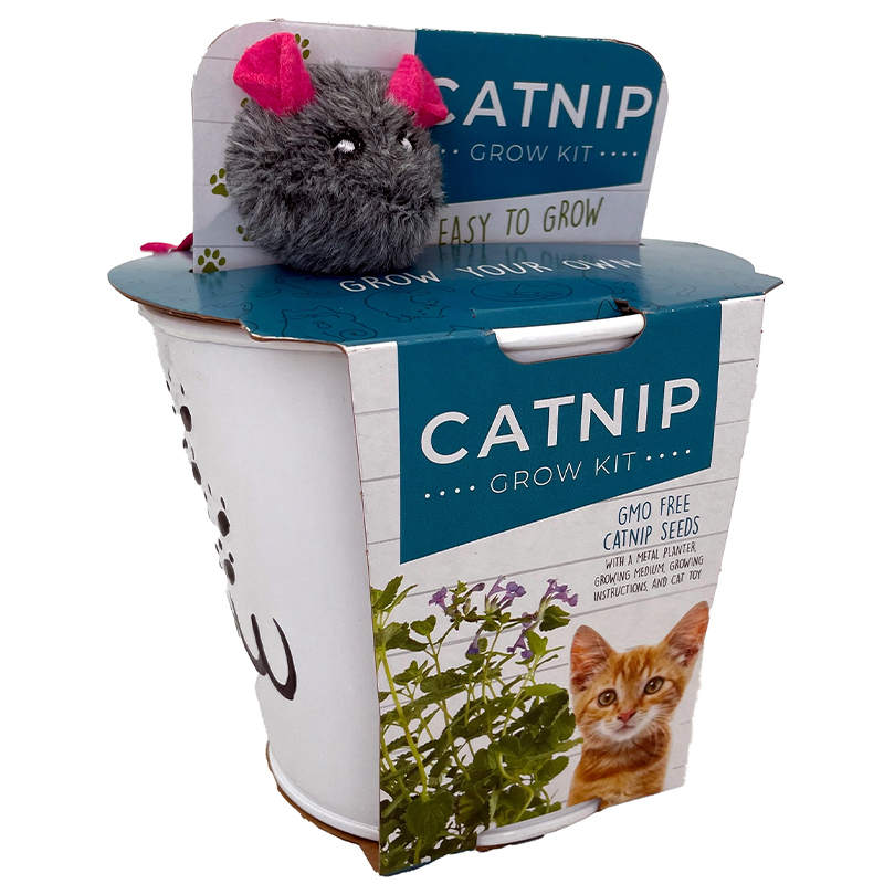 Grow Kit Catnip