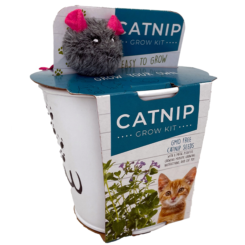 * Grow Kit Catnip