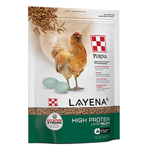 Purina High Protein Layer 10#