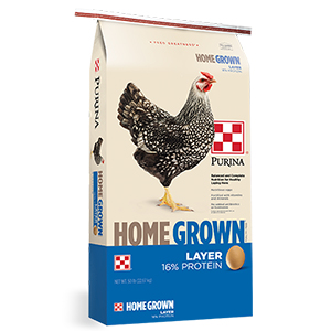 Purina Layer No Soy Corn Crum 50