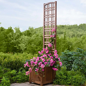 Planter Eucalyptus W/trellis
