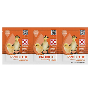 Pur Chick Probiotic 3pk