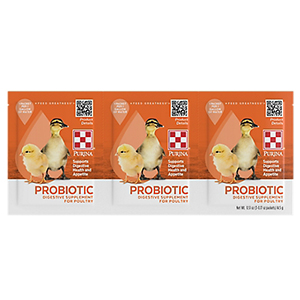 ***pur Chick Probiotic 3pk