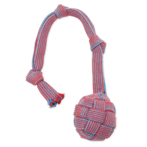 Toy Dog Rope Web Ball Md