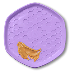Toy Dog Hive Disc Lavender