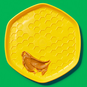 *dog Hive Disc Unscented