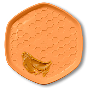 Toy Dog Hive Disc Mango