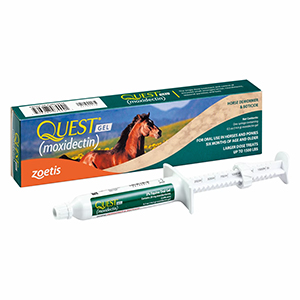 Wormer Quest Paste